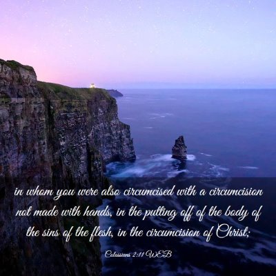 Picture 03 - Colossians 2:11 WEB - in whom you were also circumcised with a - Bible Verse Picture