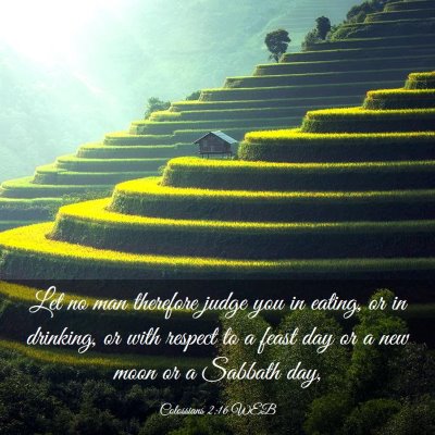 Picture 03 - Colossians 2:16 WEB - Let no man therefore judge you in eating, or in - Bible Verse Picture