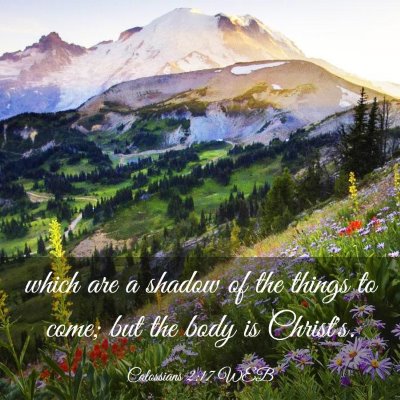 Picture 03 - Colossians 2:17 WEB - which are a shadow of the things to come; but the - Bible Verse Picture