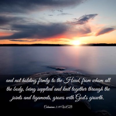 Picture 03 - Colossians 2:19 WEB - and not holding firmly to the Head, from whom all - Bible Verse Picture