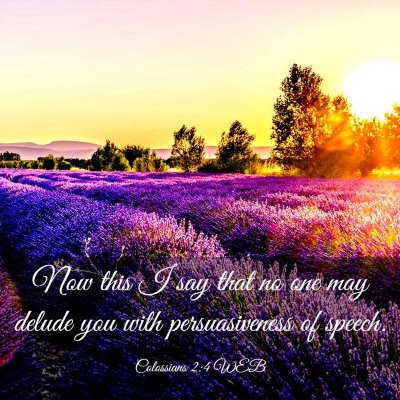 Picture 03 - Colossians 2:4 WEB - Now this I say that no one may delude you with - Bible Verse Picture
