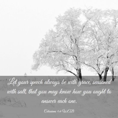 Picture 03 - Colossians 4:6 WEB - Let your speech always be with grace, seasoned - Bible Verse Picture