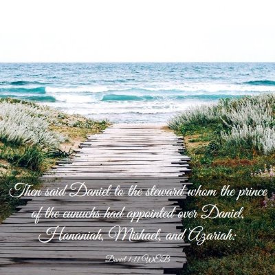 Picture 03 - Daniel 1:11 WEB - Then said Daniel to the steward whom the prince - Bible Verse Picture