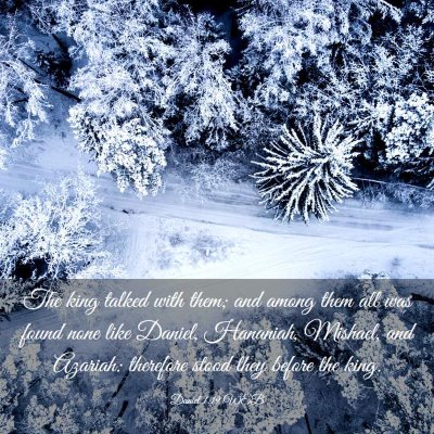 Picture 03 - Daniel 1:19 WEB - The king talked with them; and among them all was - Bible Verse Picture