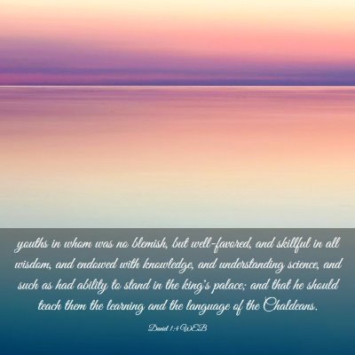 Picture 03 - Daniel 1:4 WEB - youths in whom was no blemish, but well-favored, - Bible Verse Picture