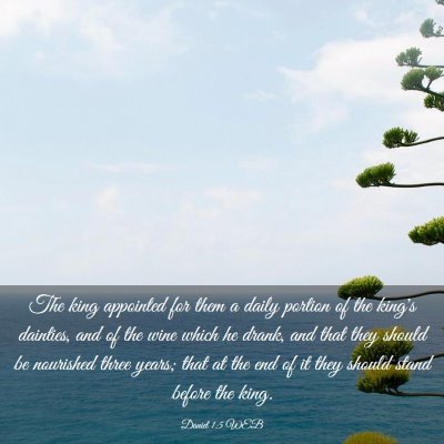 Picture 03 - Daniel 1:5 WEB - The king appointed for them a daily portion of - Bible Verse Picture