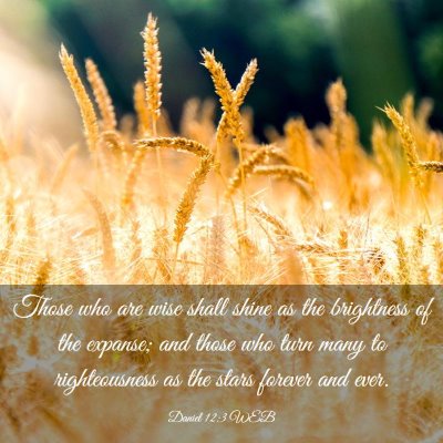 Picture 03 - Daniel 12:3 WEB - Those who are wise shall shine as the brightness - Bible Verse Picture