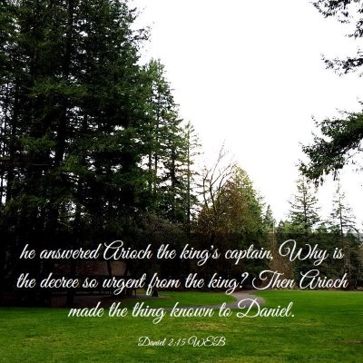 Picture 03 - Daniel 2:15 WEB - he answered Arioch the king's captain, Why is the - Bible Verse Picture