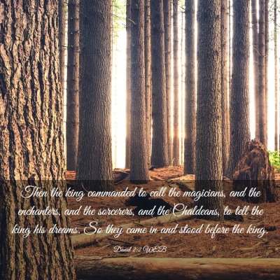 Picture 03 - Daniel 2:2 WEB - Then the king commanded to call the magicians, - Bible Verse Picture