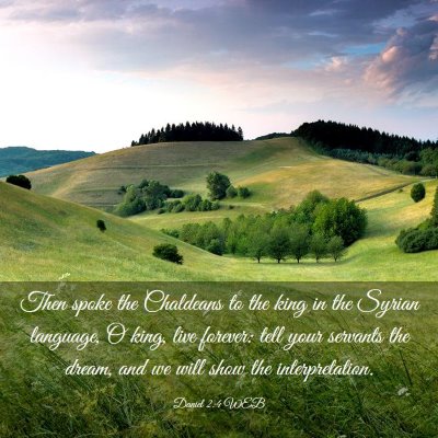 Picture 03 - Daniel 2:4 WEB - Then spoke the Chaldeans to the king in the - Bible Verse Picture