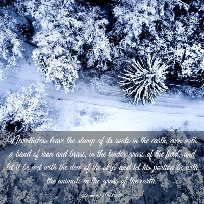 Picture 03 - Daniel 4:15 WEB - Nevertheless leave the stump of its roots in the - Bible Verse Picture