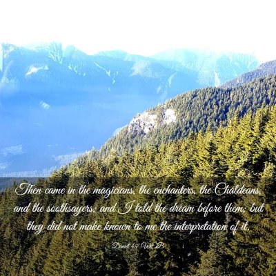 Picture 03 - Daniel 4:7 WEB - Then came in the magicians, the enchanters, the - Bible Verse Picture