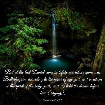 Picture 03 - Daniel 4:8 WEB - But at the last Daniel came in before me, whose - Bible Verse Picture