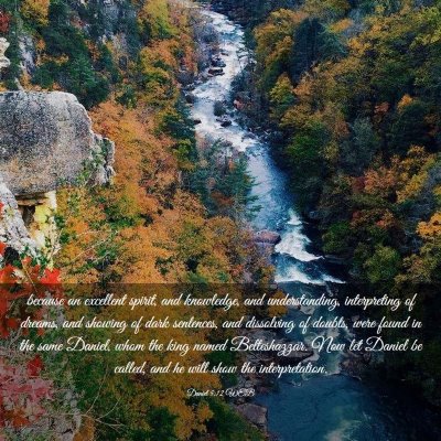 Picture 03 - Daniel 5:12 WEB - because an excellent spirit, and knowledge, and - Bible Verse Picture