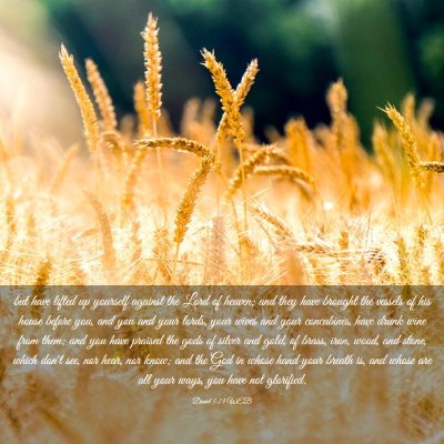 Picture 03 - Daniel 5:23 WEB - but have lifted up yourself against the Lord of - Bible Verse Picture