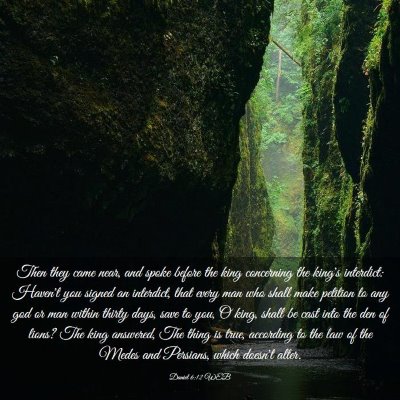Picture 03 - Daniel 6:12 WEB - Then they came near, and spoke before the king - Bible Verse Picture