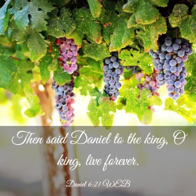 Picture 03 - Daniel 6:21 WEB - Then said Daniel to the king, O king, live - Bible Verse Picture
