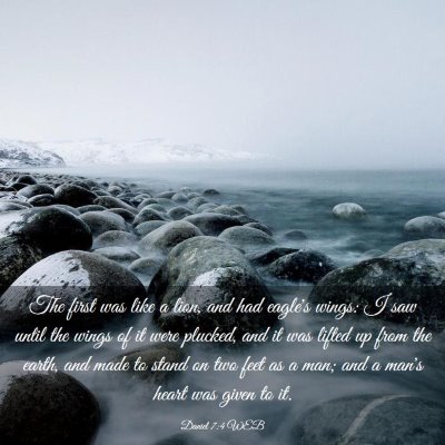Picture 03 - Daniel 7:4 WEB - The first was like a lion, and had eagle's wings: - Bible Verse Picture