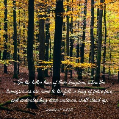 Picture 03 - Daniel 8:23 WEB - In the latter time of their kingdom, when the - Bible Verse Picture