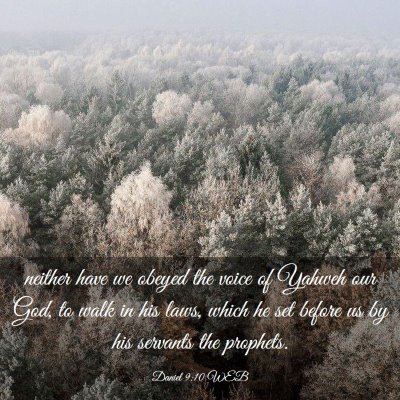 Picture 03 - Daniel 9:10 WEB - neither have we obeyed the voice of Yahweh our - Bible Verse Picture