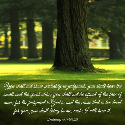 Picture 03 - Deuteronomy 1:17 WEB - You shall not show partiality in judgment; you - Bible Verse Picture