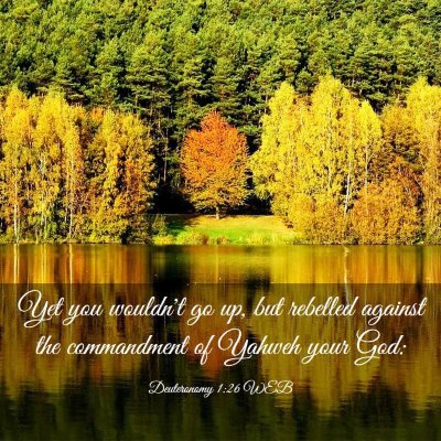 Picture 03 - Deuteronomy 1:26 WEB - Yet you wouldn't go up, but rebelled against the - Bible Verse Picture