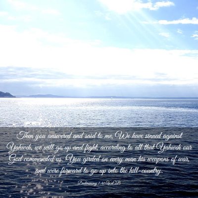 Picture 03 - Deuteronomy 1:41 WEB - Then you answered and said to me, We have sinned - Bible Verse Picture