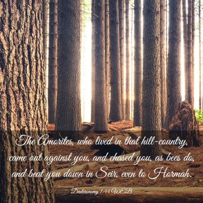 Picture 03 - Deuteronomy 1:44 WEB - The Amorites, who lived in that hill-country, - Bible Verse Picture