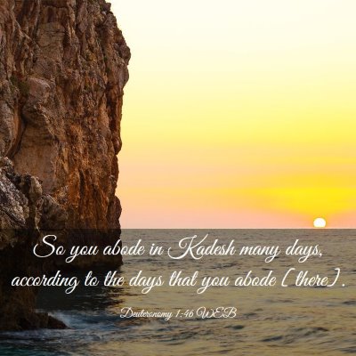 Picture 03 - Deuteronomy 1:46 WEB - So you abode in Kadesh many days, according to - Bible Verse Picture