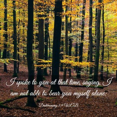 Picture 03 - Deuteronomy 1:9 WEB - I spoke to you at that time, saying, I am not - Bible Verse Picture
