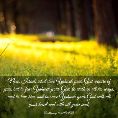Picture 03 - Deuteronomy 10:12 WEB - Now, Israel, what does Yahweh your God require of - Bible Verse Picture