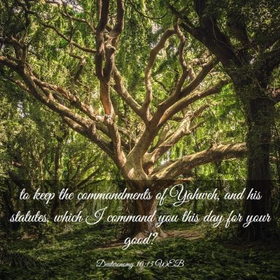 Picture 03 - Deuteronomy 10:13 WEB - to keep the commandments of Yahweh, and his - Bible Verse Picture