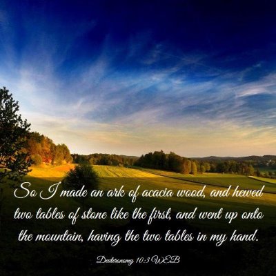 Picture 03 - Deuteronomy 10:3 WEB - So I made an ark of acacia wood, and hewed two - Bible Verse Picture