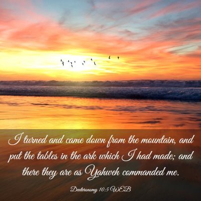 Picture 03 - Deuteronomy 10:5 WEB - I turned and came down from the mountain, and put - Bible Verse Picture