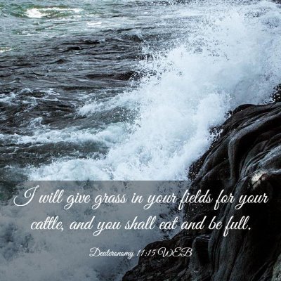 Picture 03 - Deuteronomy 11:15 WEB - I will give grass in your fields for your cattle, - Bible Verse Picture