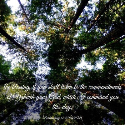 Picture 03 - Deuteronomy 11:27 WEB - the blessing, if you shall listen to the - Bible Verse Picture
