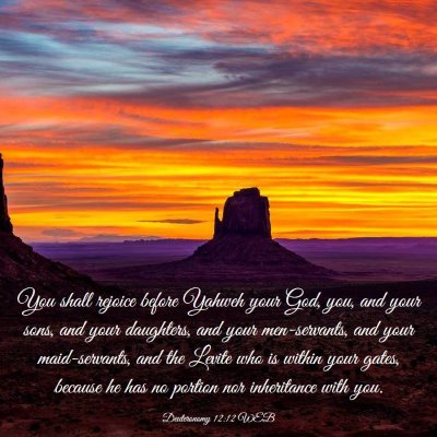 Picture 03 - Deuteronomy 12:12 WEB - You shall rejoice before Yahweh your God, you, - Bible Verse Picture