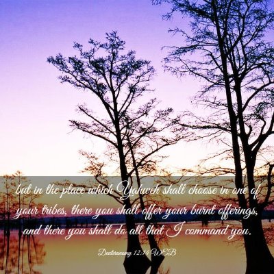 Picture 03 - Deuteronomy 12:14 WEB - but in the place which Yahweh shall choose in one - Bible Verse Picture