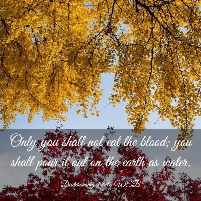 Picture 03 - Deuteronomy 12:16 WEB - Only you shall not eat the blood; you shall pour - Bible Verse Picture