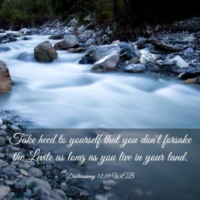 Picture 03 - Deuteronomy 12:19 WEB - Take heed to yourself that you don't forsake the - Bible Verse Picture