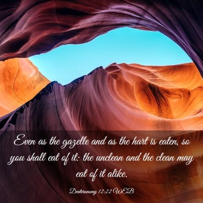 Picture 03 - Deuteronomy 12:22 WEB - Even as the gazelle and as the hart is eaten, so - Bible Verse Picture