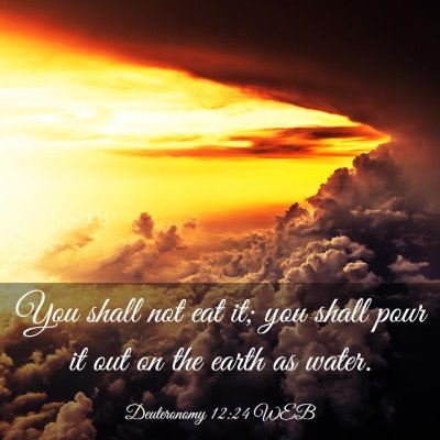 Picture 03 - Deuteronomy 12:24 WEB - You shall not eat it; you shall pour it out on - Bible Verse Picture