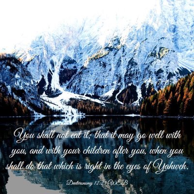 Picture 03 - Deuteronomy 12:25 WEB - You shall not eat it; that it may go well with - Bible Verse Picture