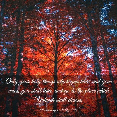 Picture 03 - Deuteronomy 12:26 WEB - Only your holy things which you have, and your - Bible Verse Picture