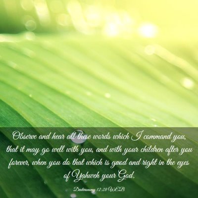 Picture 03 - Deuteronomy 12:28 WEB - Observe and hear all these words which I command - Bible Verse Picture