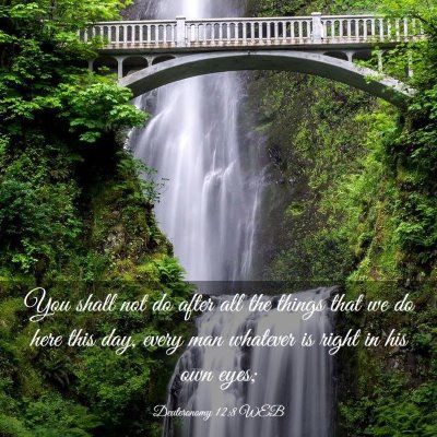 Picture 03 - Deuteronomy 12:8 WEB - You shall not do after all the things that we do - Bible Verse Picture