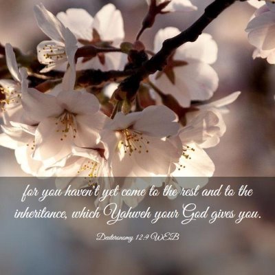 Picture 03 - Deuteronomy 12:9 WEB - for you haven't yet come to the rest and to the - Bible Verse Picture