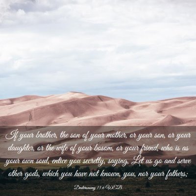 Picture 03 - Deuteronomy 13:6 WEB - If your brother, the son of your mother, or your - Bible Verse Picture