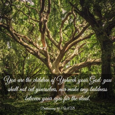 Picture 03 - Deuteronomy 14:1 WEB - You are the children of Yahweh your God: you - Bible Verse Picture