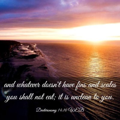 Picture 03 - Deuteronomy 14:10 WEB - and whatever doesn't have fins and scales you - Bible Verse Picture